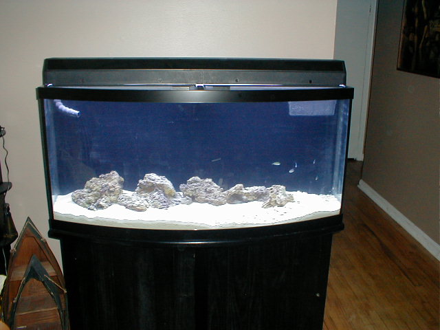 72-Gallon Micro